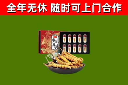 常平镇烟酒回收冬虫夏草礼盒.jpg